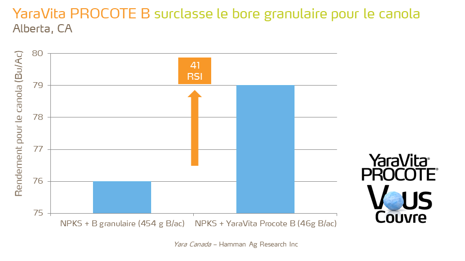Procote B outperforms granular boron