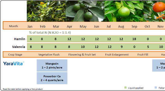 Cocoa Fertilizer Program - Liquid