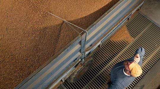 How to improve crop yield without sacrificing quality