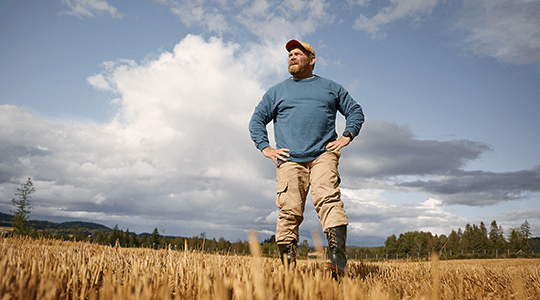 How to reduce ammonia emissions 