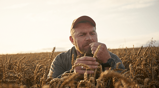 How to make your farm more profitable 