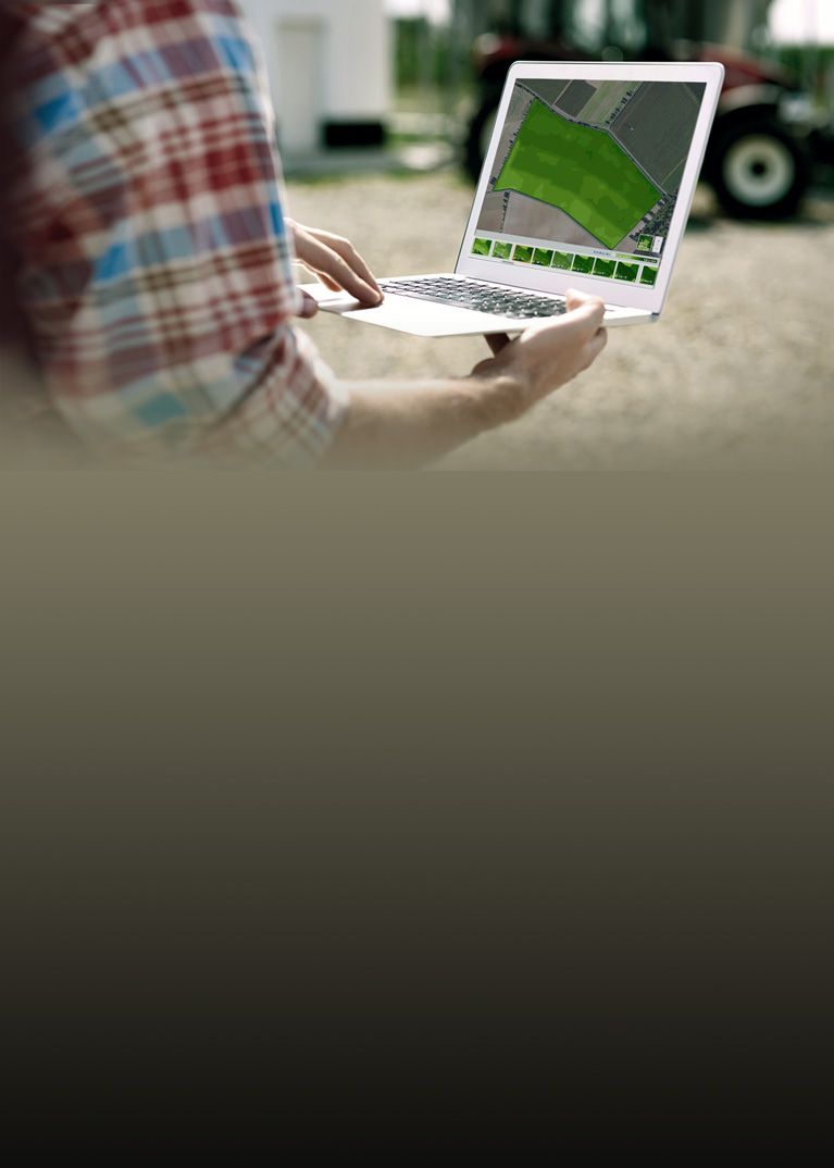 Farmers in wheat field looking at Atfarm