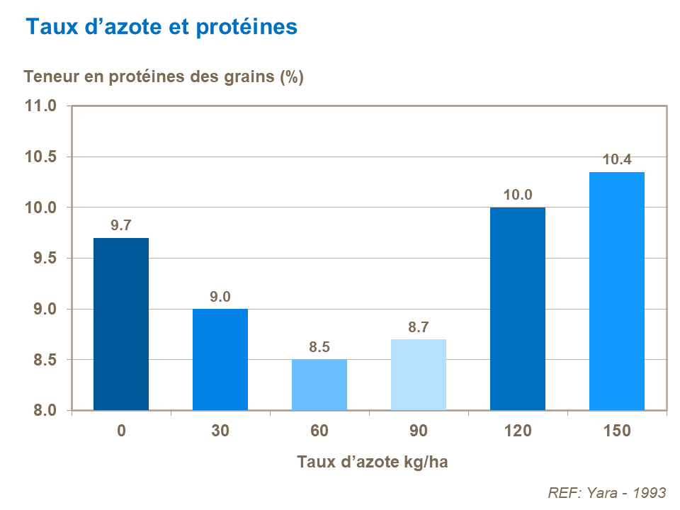 FR - N rate and protein content on corn.png