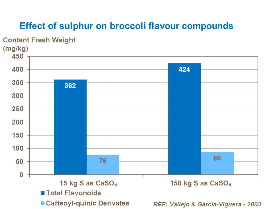 Effect of sulphur on broccoli flavour compounds