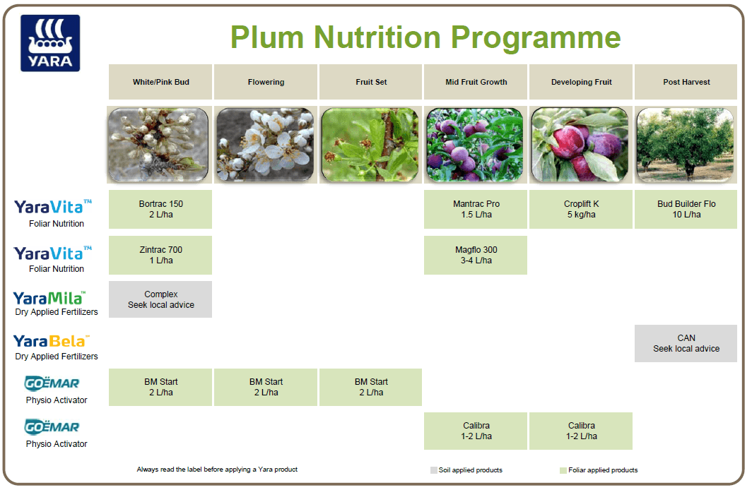 Plum crop nutrition programme