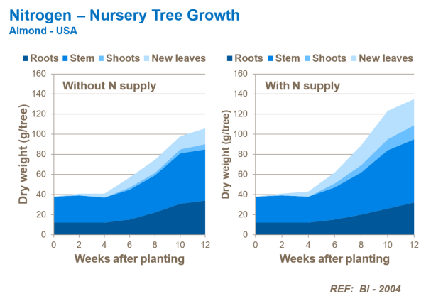 Nitrogen, Nursery tree growth