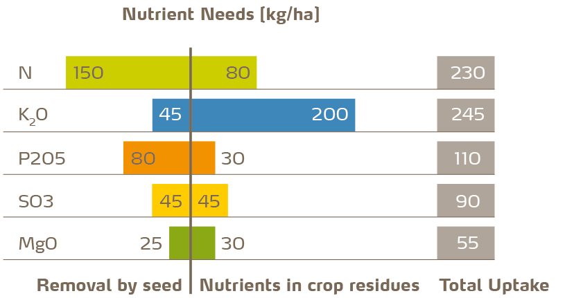 Figure 2: Uptake and removal of main nutrients by rapeseed for a yield of 45 dt/ha. Total uptake concerns the entire vegetation phase. Removal concerns grain yield exported from the field. Nutrients in residues are returned to the soil and contribute to a large extent to the nutrition of the following crop [2].
