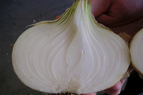 Vidalia sweet onion