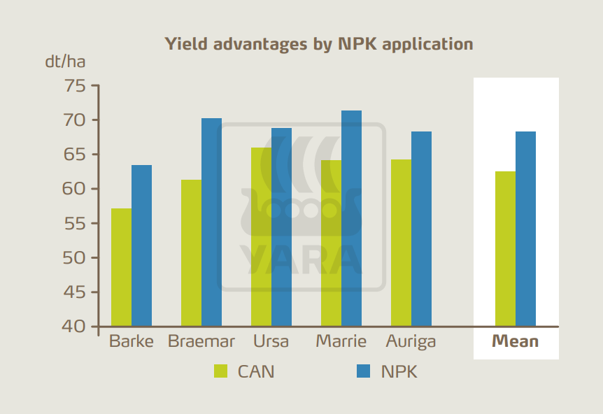 Figure 5: Malting barley yields obtained with NPK starter fertilization are consistently higher than those obtained with CAN fertilization. Results from field trials in Germany for different varieties and identical Nitrogen application rates of 100 kg/ha.