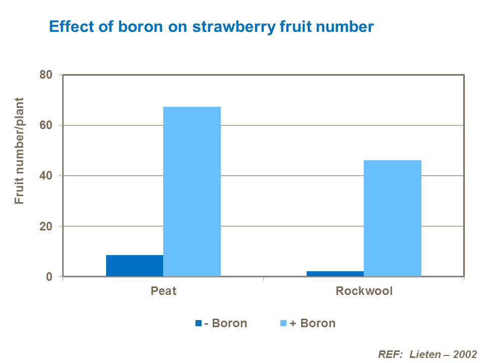 Effect of boron on strawberry fruit number