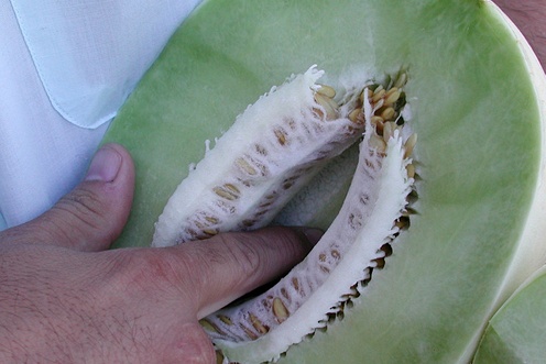 Melons with hollow centers do not transport well.