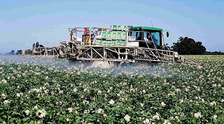 Foliar Spraying Potatoes