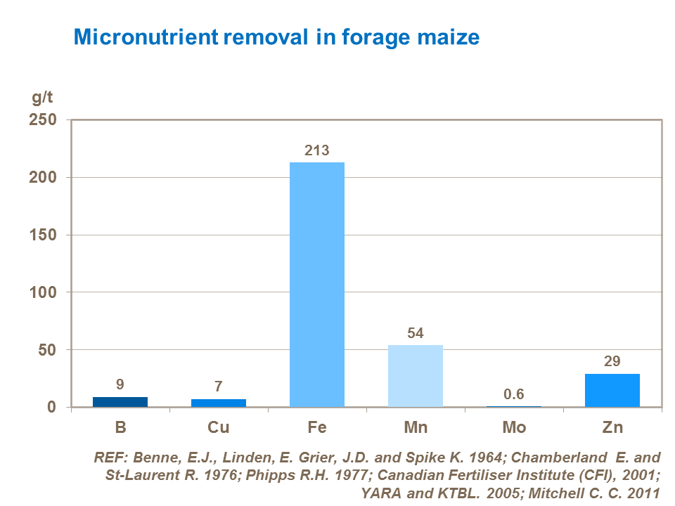 Micronutrient removal by maize silage