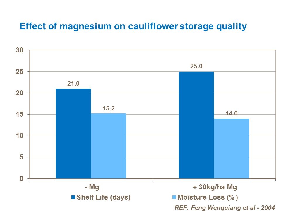 Effect of magnesium on cauliflower storage quality