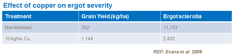 Effect of copper on ergot severity