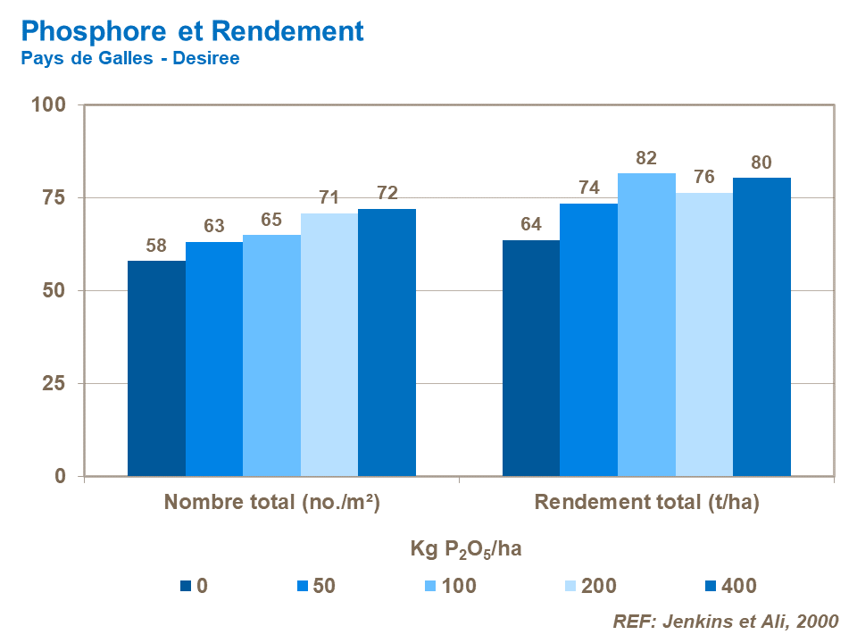 FR-phosphorus and yield.png