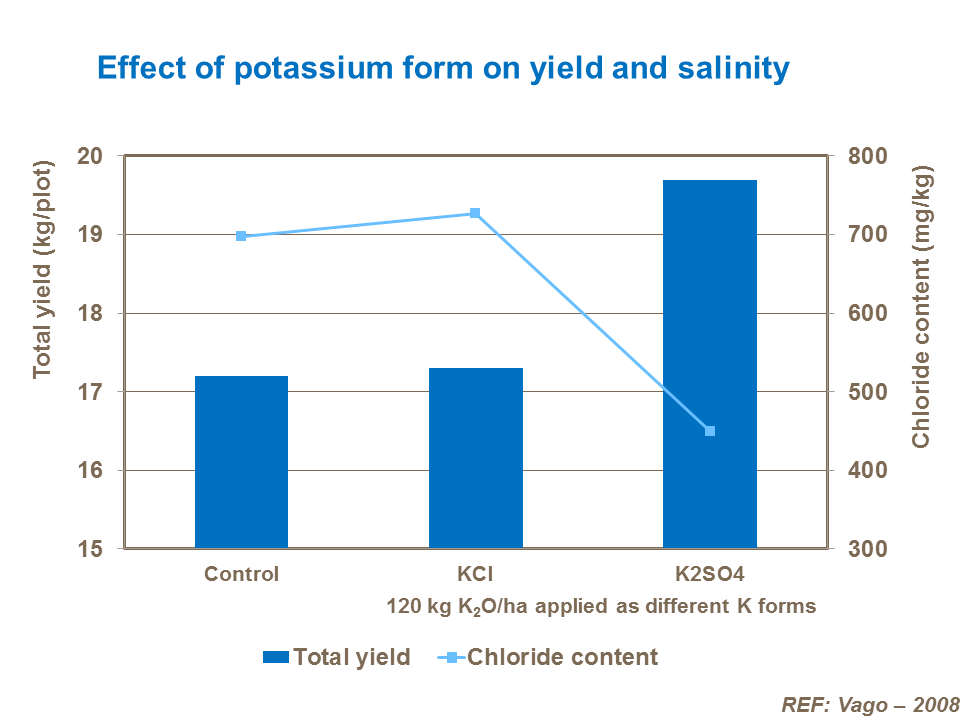 Effect of potassium form on yield and salinity