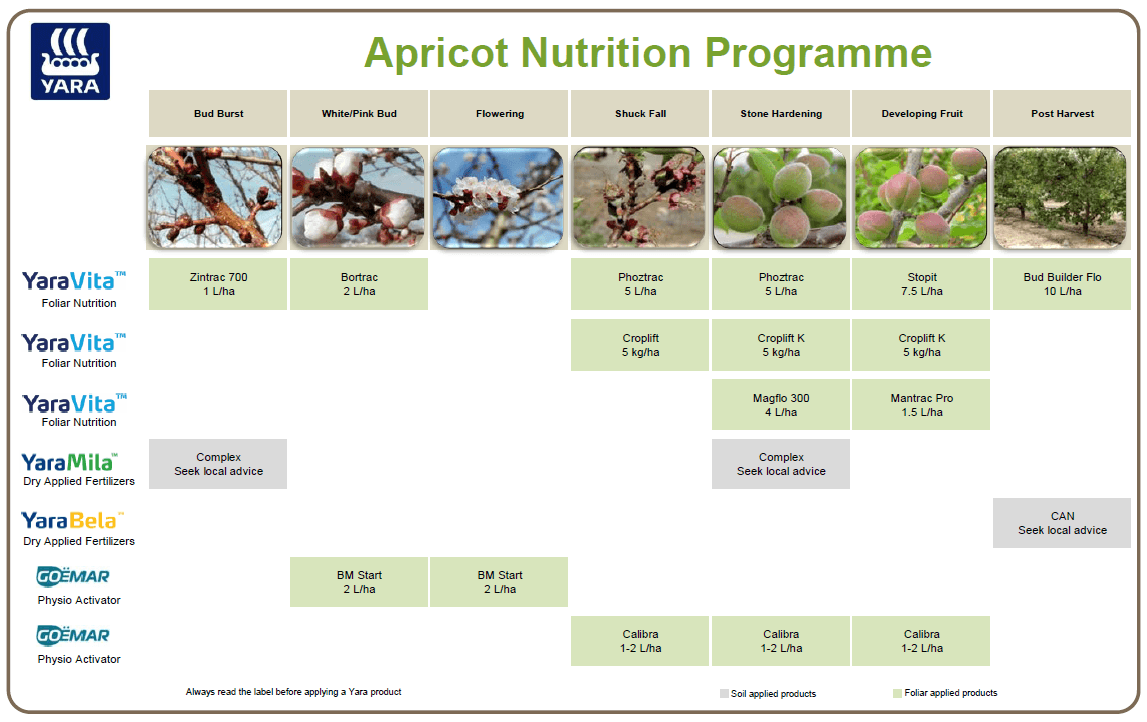 Apricot crop nutrition programme