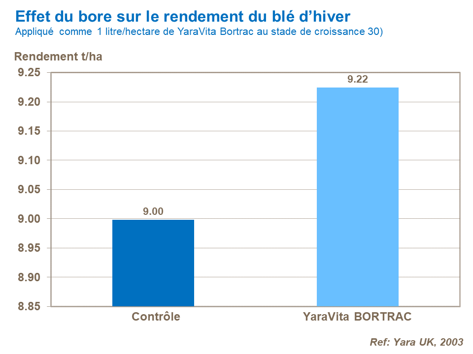 FR - effect of boron on winter wheat yield.png